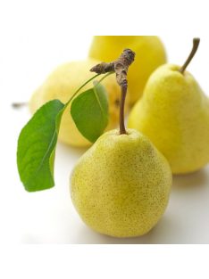   Jacopo Poli Distillato Di Frutta "Pere" Pear Brandy - 40% 0,5l